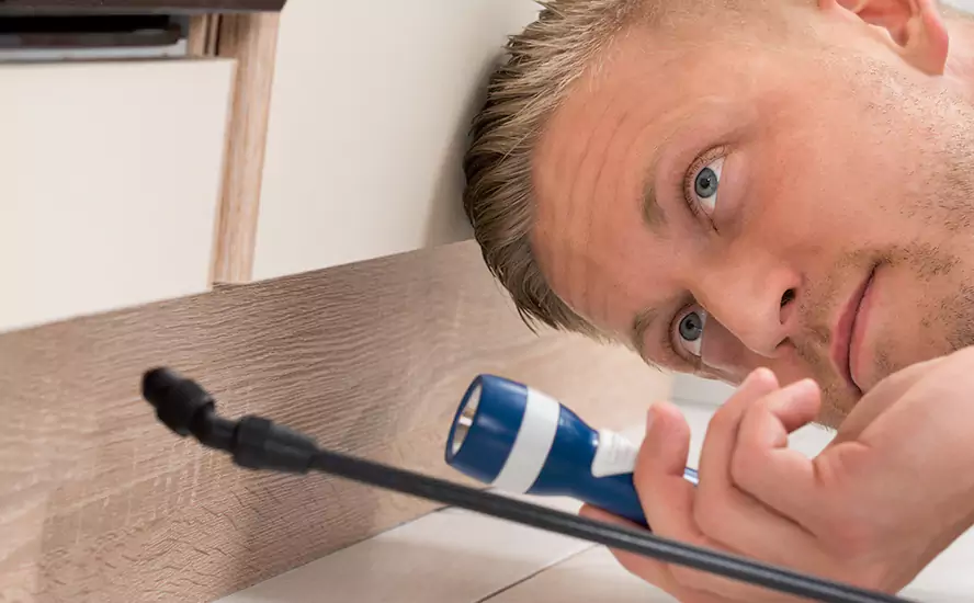 Top-Notch Pest Control in Southlake