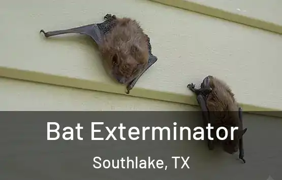  Bat Exterminator Southlake, TX
