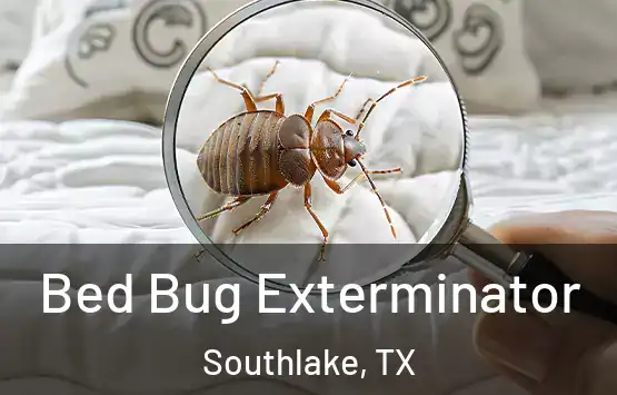  Bed Bug Exterminator Southlake, TX