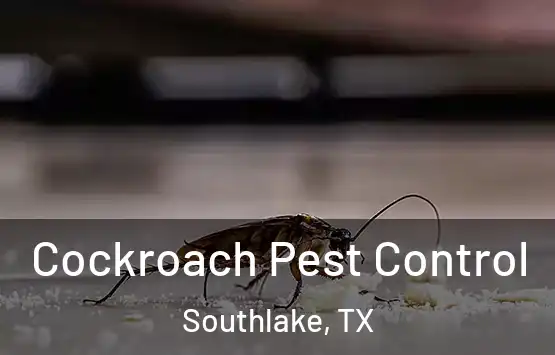 Cockroach Pest Control Southlake, TX