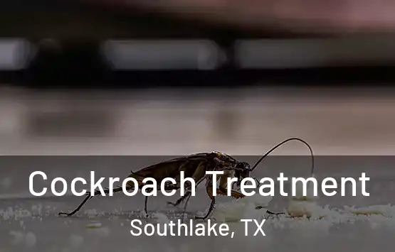  Cockroach Treatment Southlake, TX