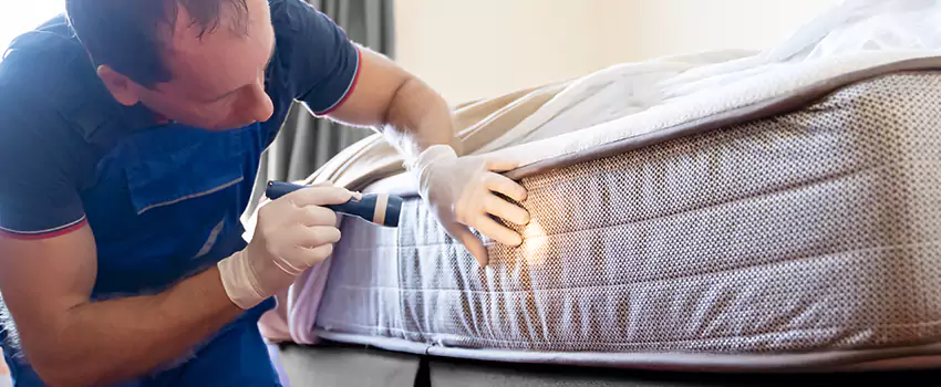 bed-bug-exterminator in Southlake, TX