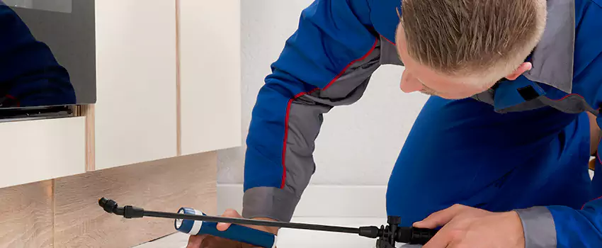 Termite Control for Children and Pets in Southlake, TX