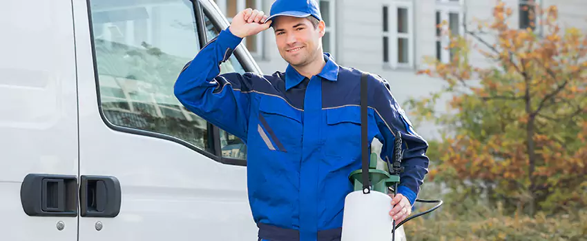 Whitefly Treatment for Bedrooms Southlake, TX