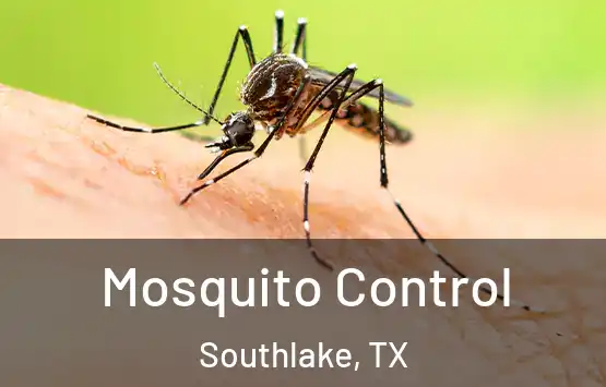  Mosquito Control Southlake, TX