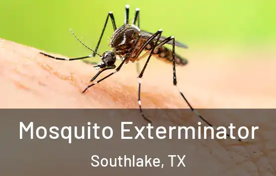  Mosquito Exterminator Southlake, TX