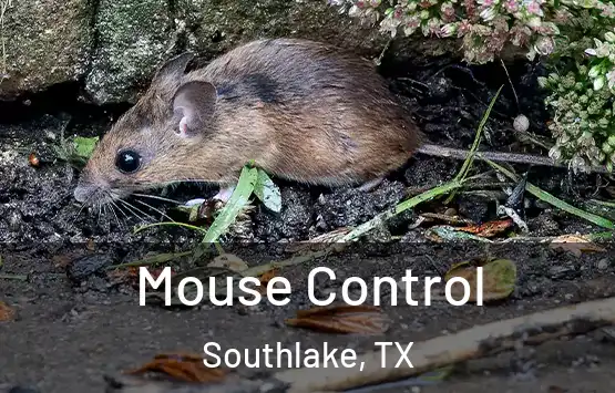  Mouse Control Southlake, TX