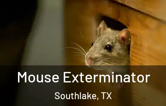  Mouse Exterminator Southlake, TX