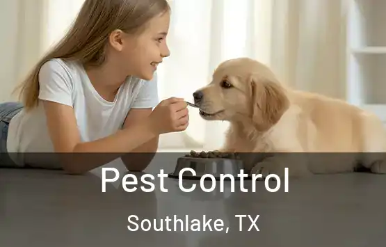 Pest Control Southlake, TX