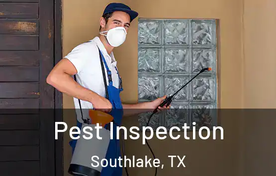  Pest Inspection Southlake, TX