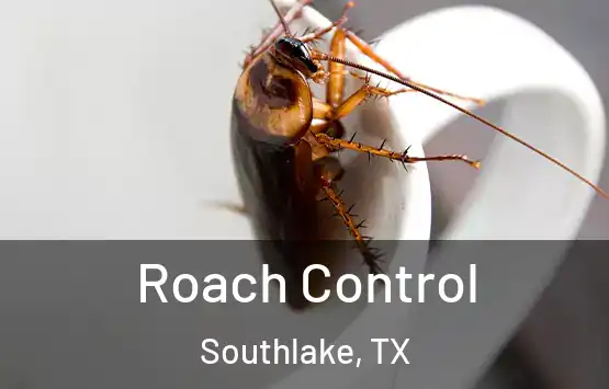  Roach Control Southlake, TX