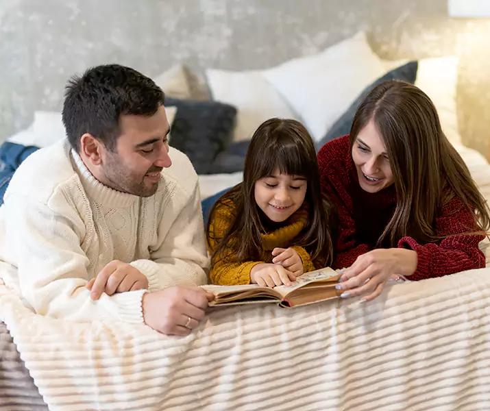 About Bed Bug Pest Control Southlake