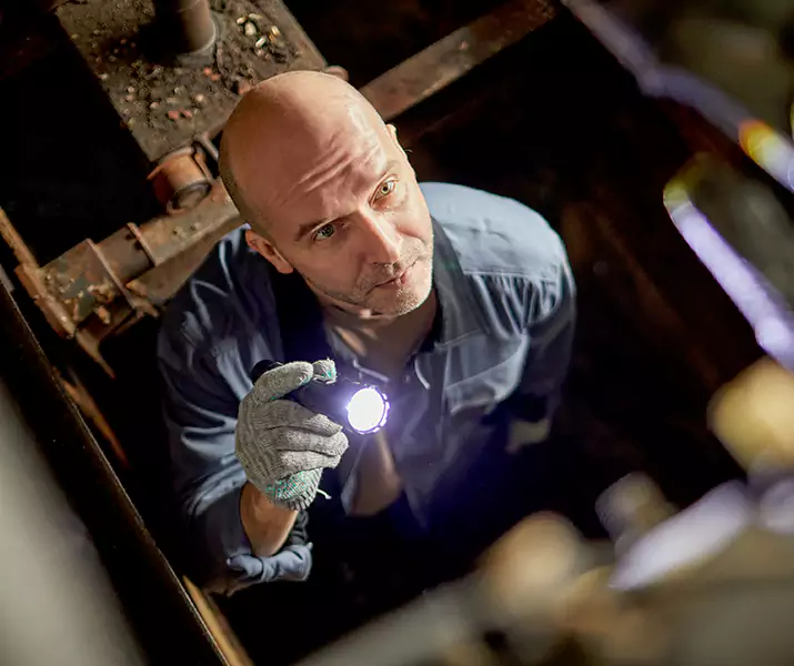 About Pest Inspection Southlake