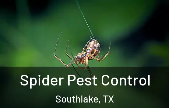  Spider Pest Control Southlake, TX