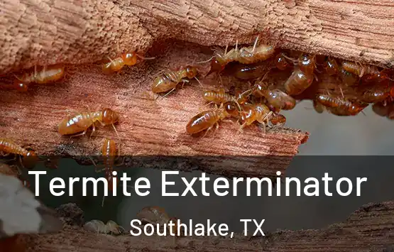  Termite Exterminator Southlake, TX