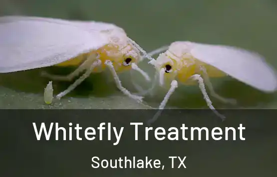  Whitefly Treatment Southlake, TX