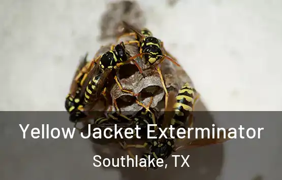  Yellow Jacket Exterminator Southlake, TX